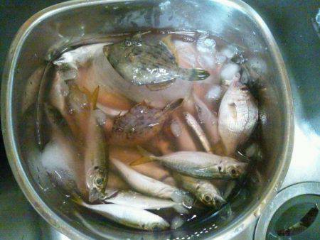 想い出の地、初島へ