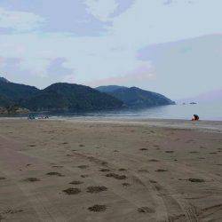 エギング＆ちょい投げで晩御飯確保