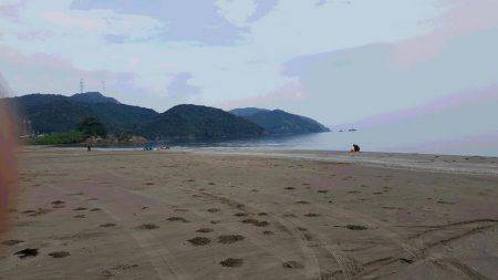 エギング＆ちょい投げで晩御飯確保