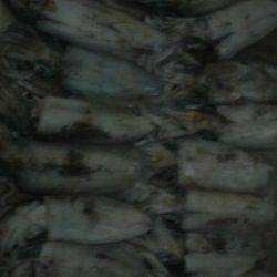 曇りのち雨時々大雨