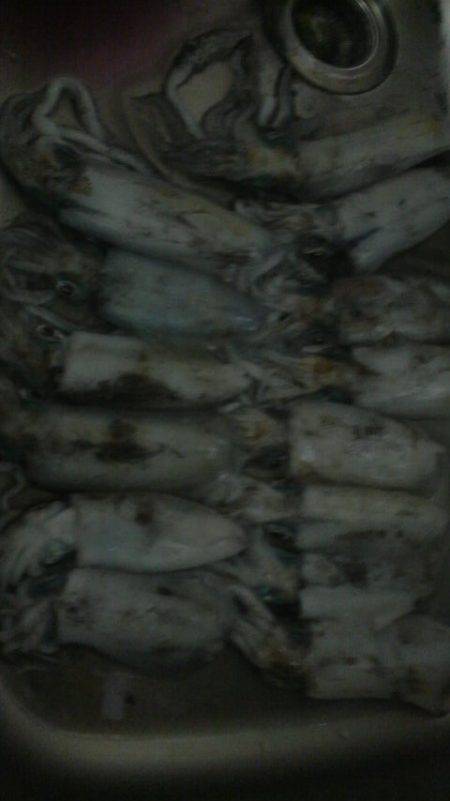 曇りのち雨時々大雨