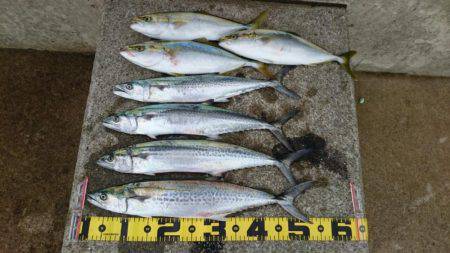 ツバスばかり！