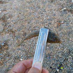 明石川河口サーフでキス釣り