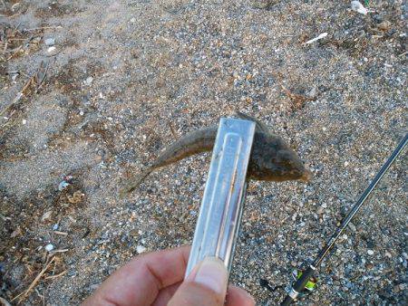 明石川河口サーフでキス釣り