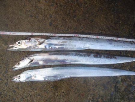 ジグよりワインドよりテンヤ