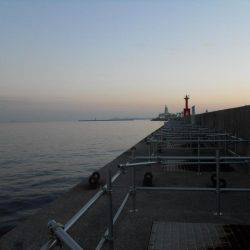 早朝～ウキ釣りでタチウオ調査