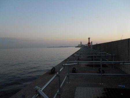 早朝～ウキ釣りでタチウオ調査