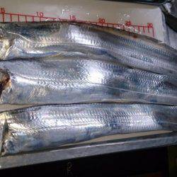 タカベ大好きっ