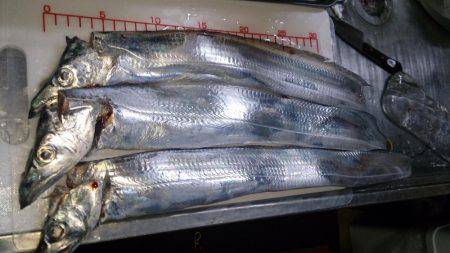 タカベ大好きっ