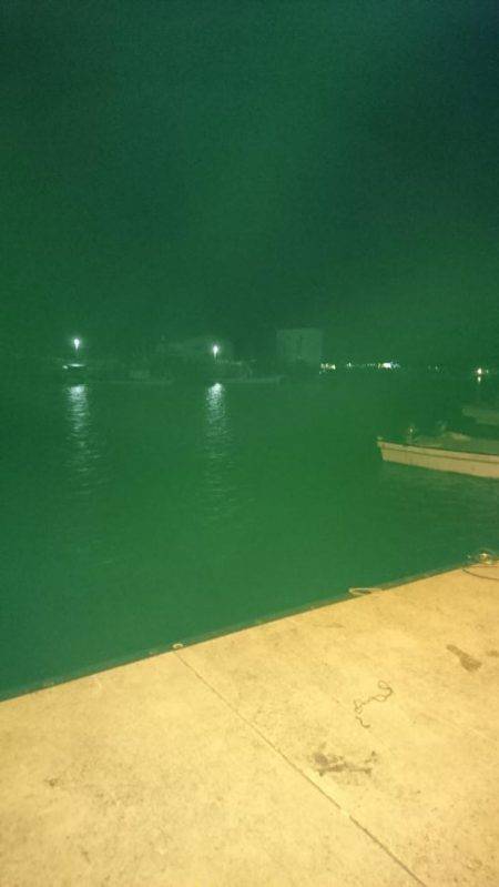 エギング時々アジング