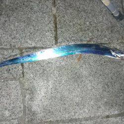 夜釣りで夜サビキとタチウオ