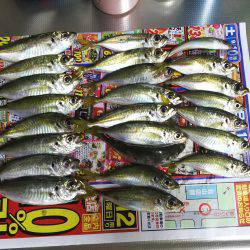 小島からの雑が崎