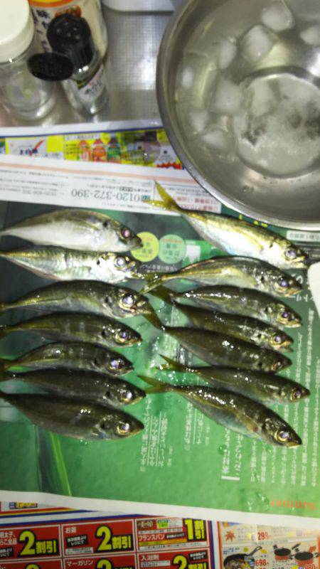 台風のあとアジング