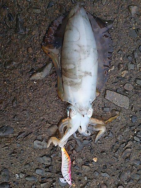 遠征２日目 須賀利編