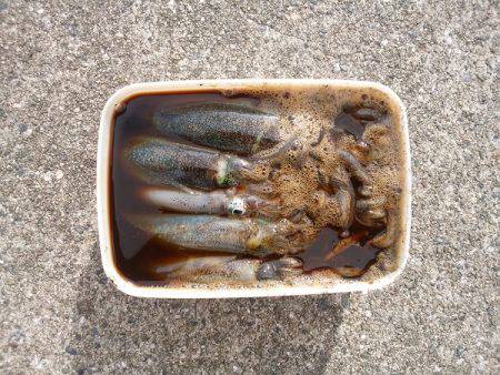 アオリイカの新子で沖漬け