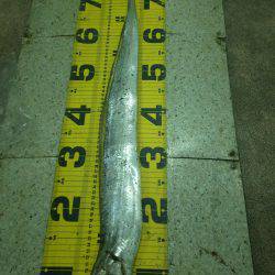 友人家族とワインド