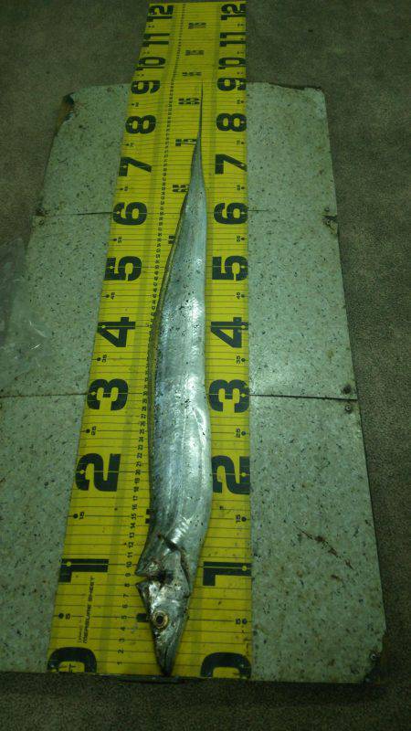 友人家族とワインド