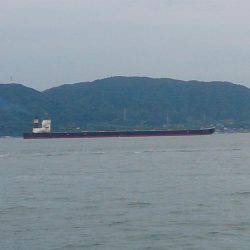 ショ―トバイト