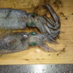 スクスク成長中！