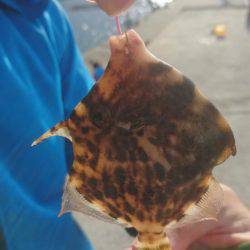 たそがれ釣り旅、台風の合間にて