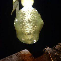 一瞬のジアイ。