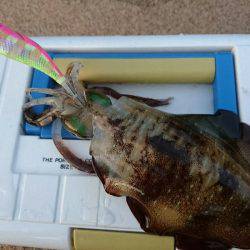 早朝サーフエギング