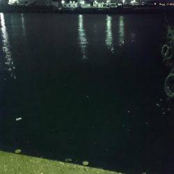 雨にも負けず。