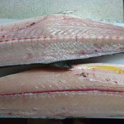 紀北ジギング、キャスティング