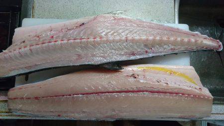 紀北ジギング、キャスティング