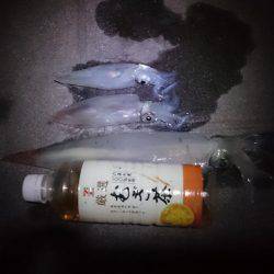 ケンサキ&アオリ