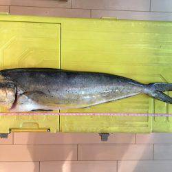 ショアジギング