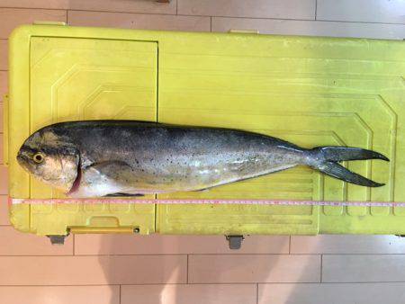 ショアジギング