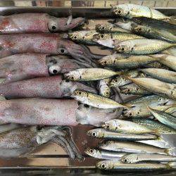 アジュール舞子は大混雑