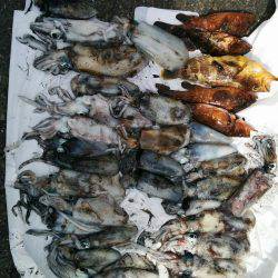 シーズン終盤？