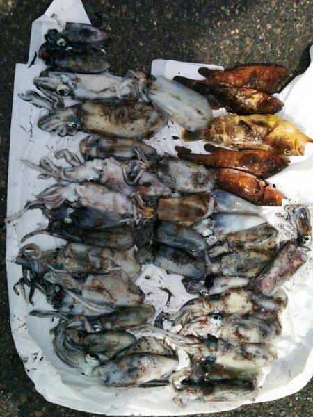 シーズン終盤？