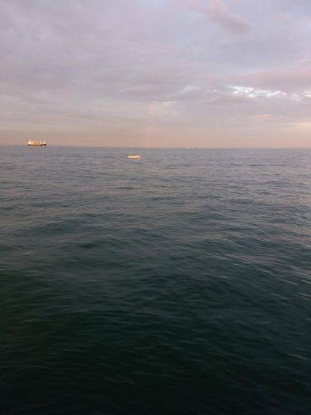 サーベリング！