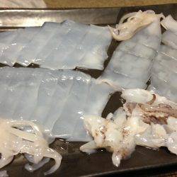 ケンサキとアオリと丸焼きと。