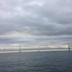 豪雨直後の朝マヅメ釣行 やっぱり渋い