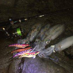 撃沈！秋イカ！