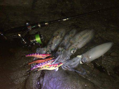 撃沈！秋イカ！