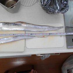 渋いと思うんですよ