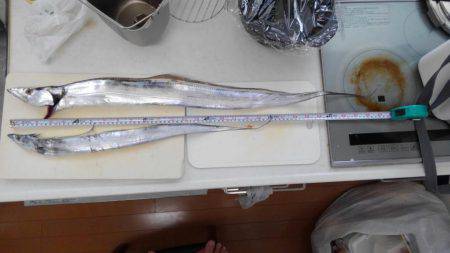 渋いと思うんですよ