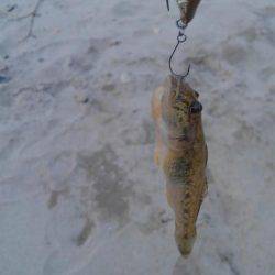 30分一本勝負！