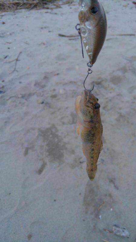 30分一本勝負！