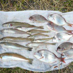 シーズン初の明神釣行