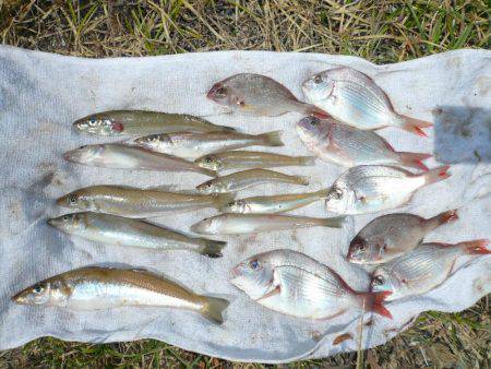 シーズン初の明神釣行