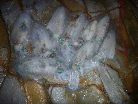 雨の中での釣果