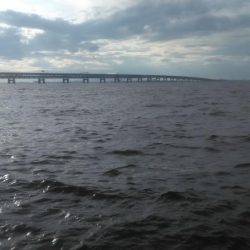 ジグサビキング