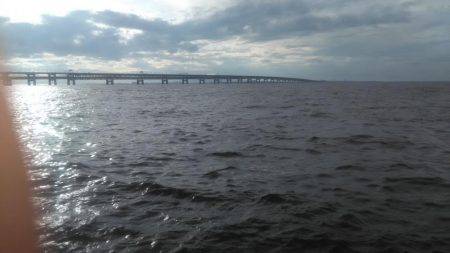 ジグサビキング