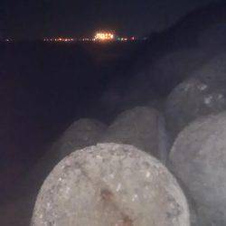 太刀魚ワインド‼